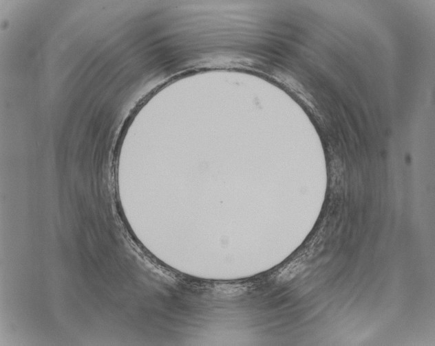 X0000073710848200608311753