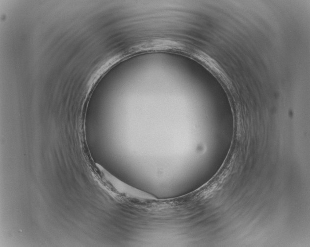 X0000073710850200608311753