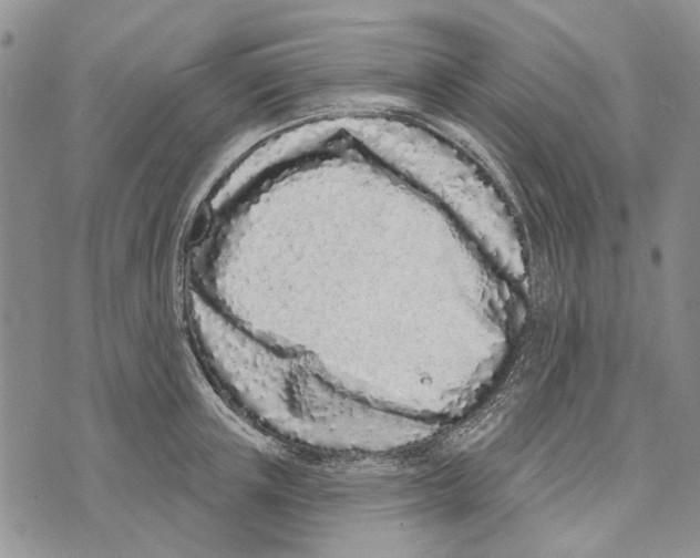 X0000073710851200608311753