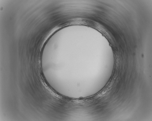 X0000073710852200608311753