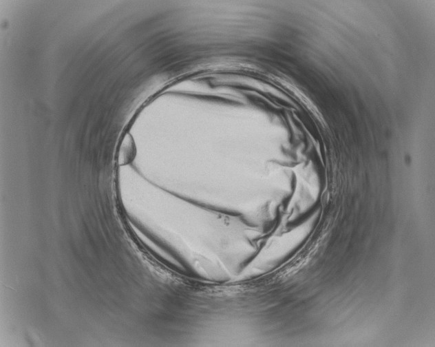 X0000073710853200608311753