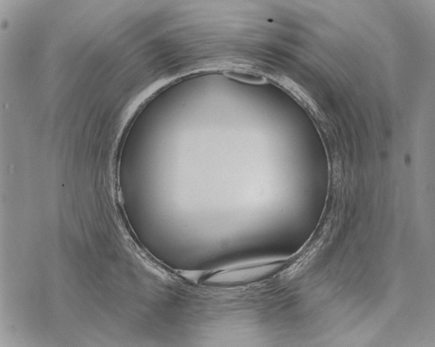 X0000073710854200608311753