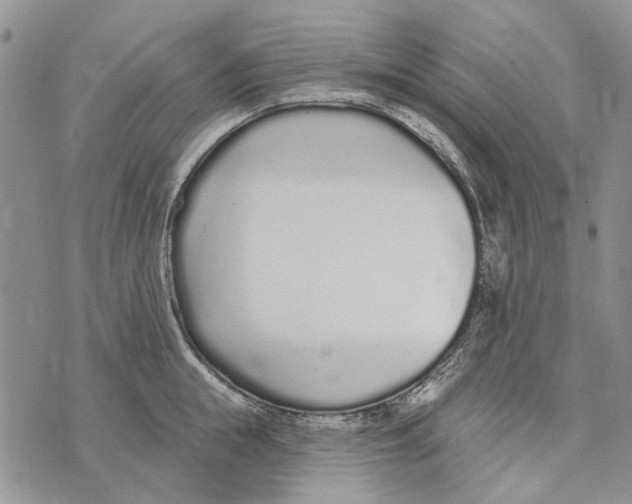 X0000073710855200608311753