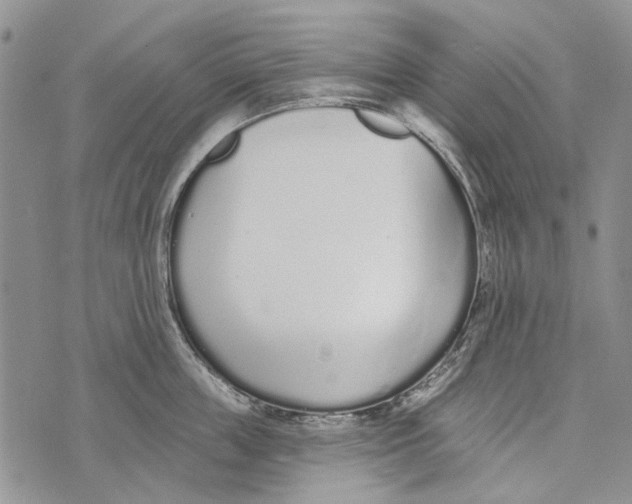 X0000073710859200608311753