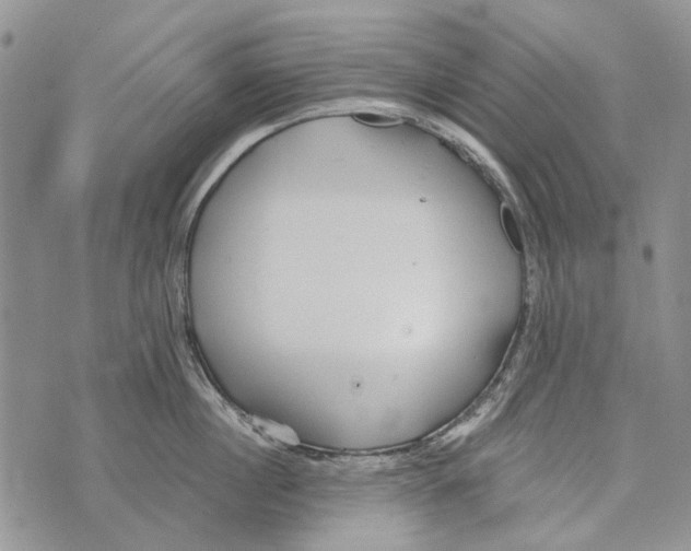 X0000073710860200608311753