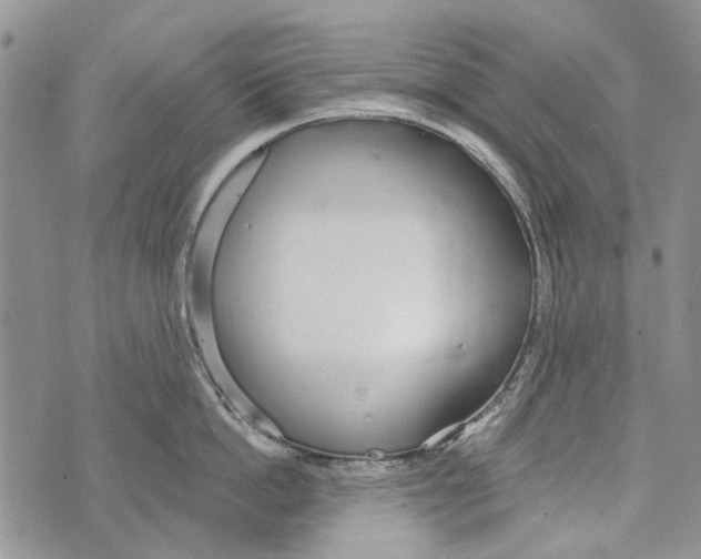 X0000073710862200608311753