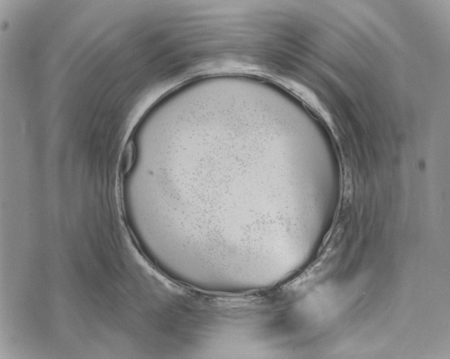 X0000073710863200608311753