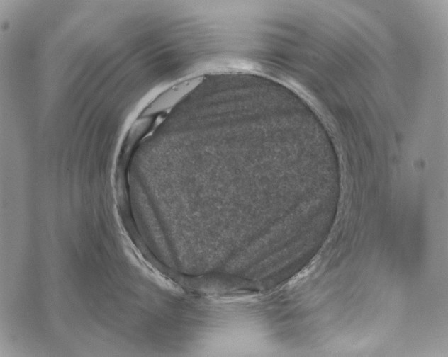 X0000073710864200608311753