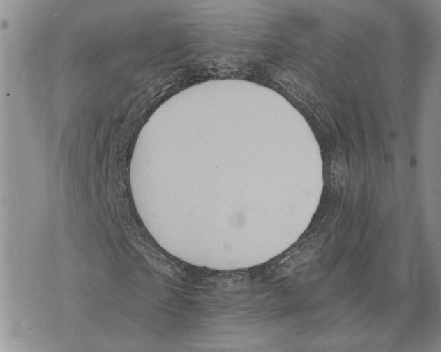 X0000073710865200608311752