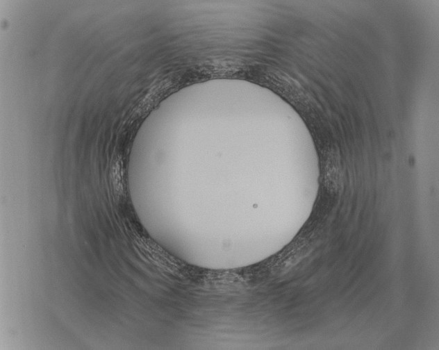 X0000073710866200608311752