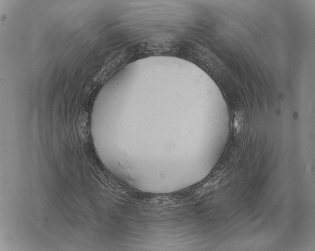 X0000073710867200608311752