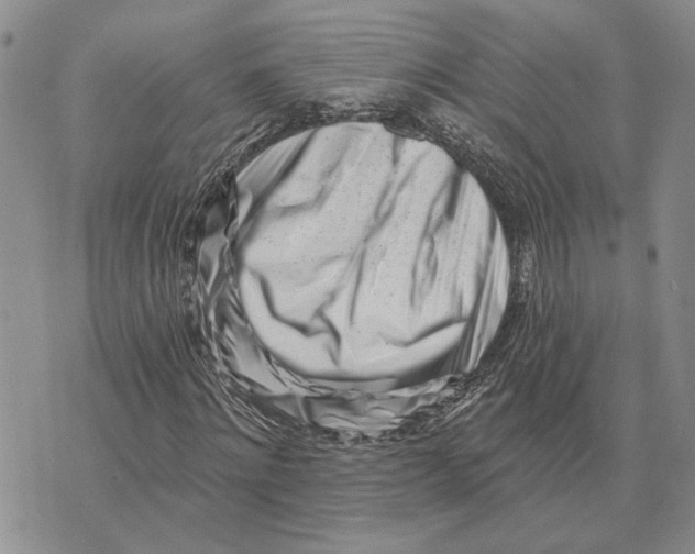 X0000073710868200608311752