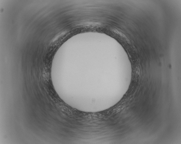 X0000073710869200608311752