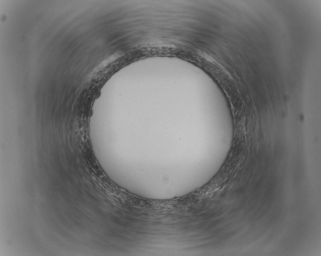 X0000073710870200608311752