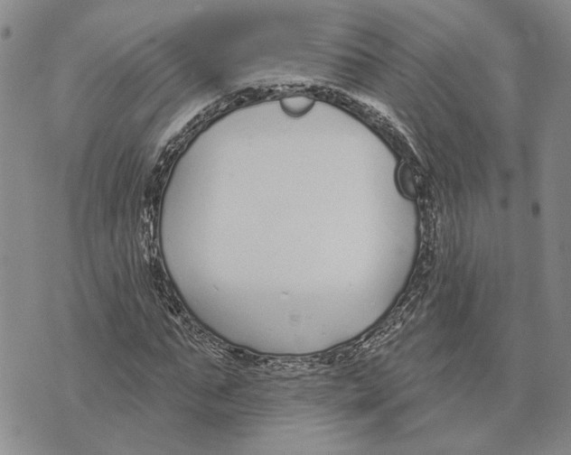 X0000073710871200608311752