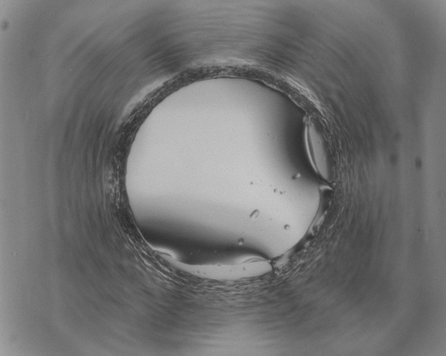 X0000073710872200608311752