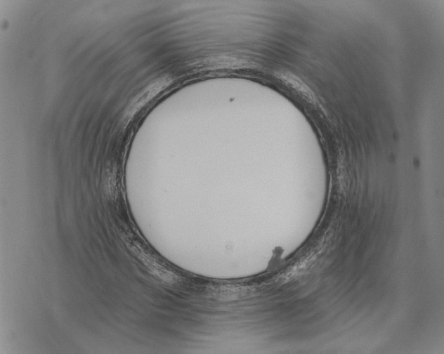 X0000073710873200608311752