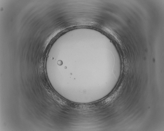 X0000073710875200608311752