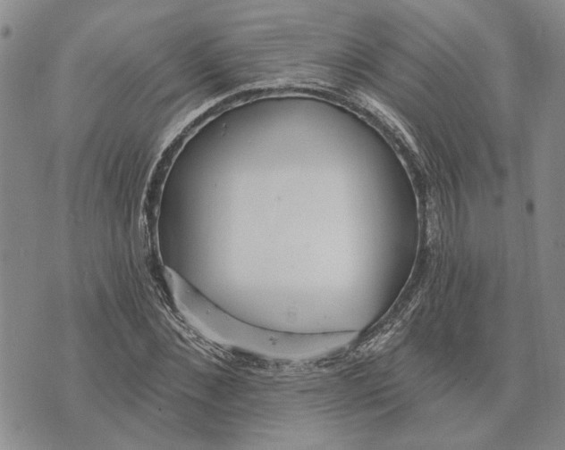 X0000073710876200608311752