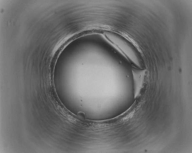 X0000073710877200608311752