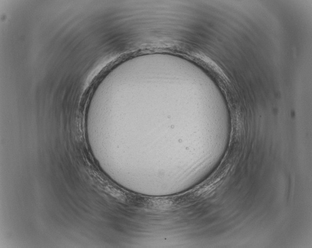 X0000073710878200608311752