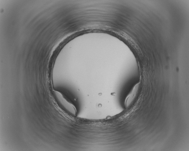 X0000073710880200608311752