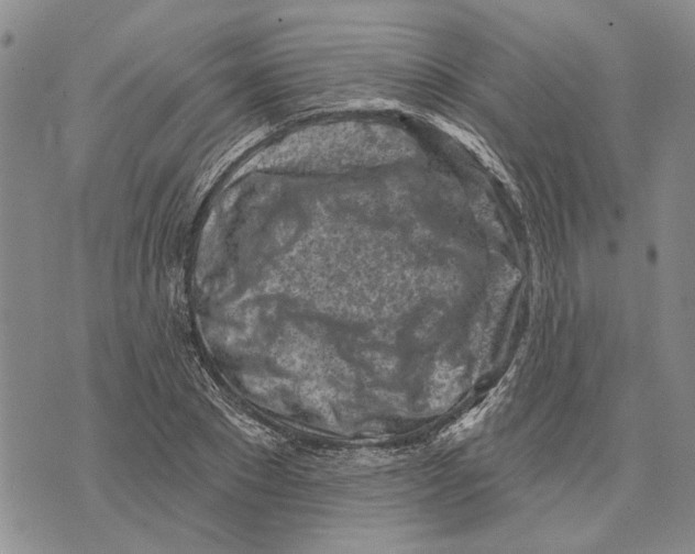 X0000073710881200608311752