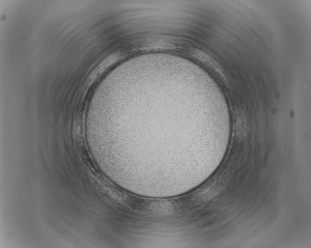 X0000073710882200608311752