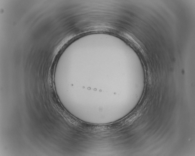 X0000073710883200608311752