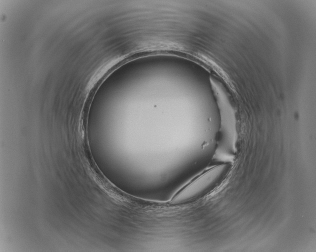 X0000073710885200608311752