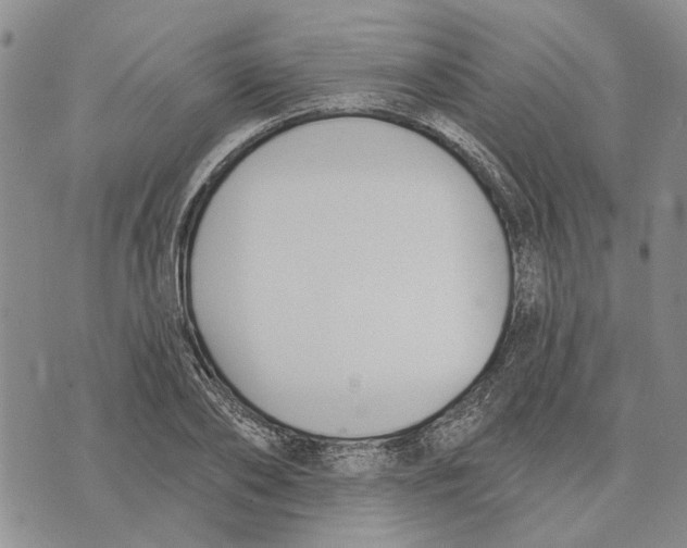 X0000073710886200608311752