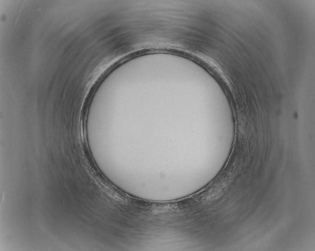 X0000073710887200608311752