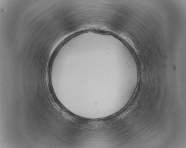 X0000073710888200608311752