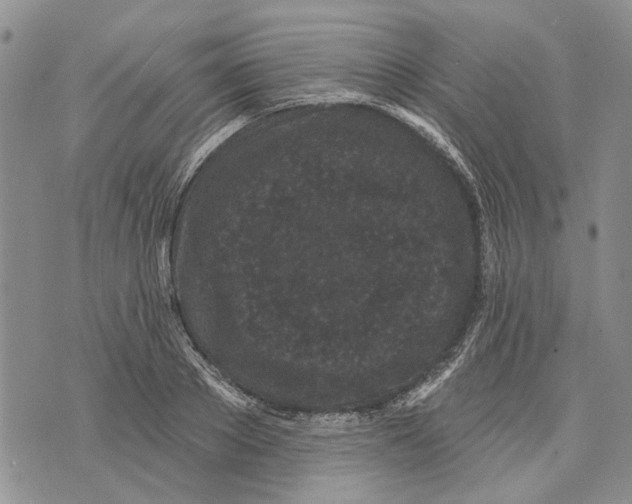 X0000073710889200608311752