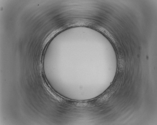 X0000073710890200608311752