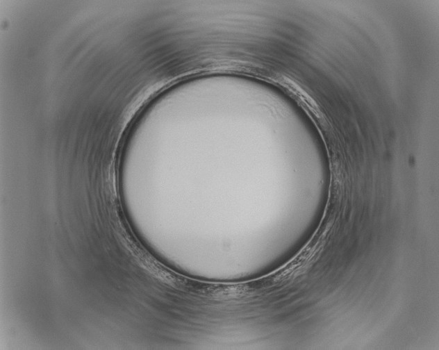 X0000073710891200608311752