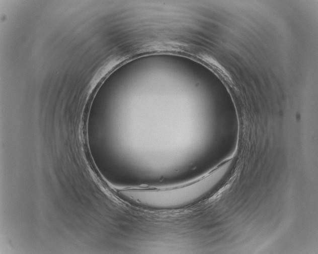 X0000073710893200608311752