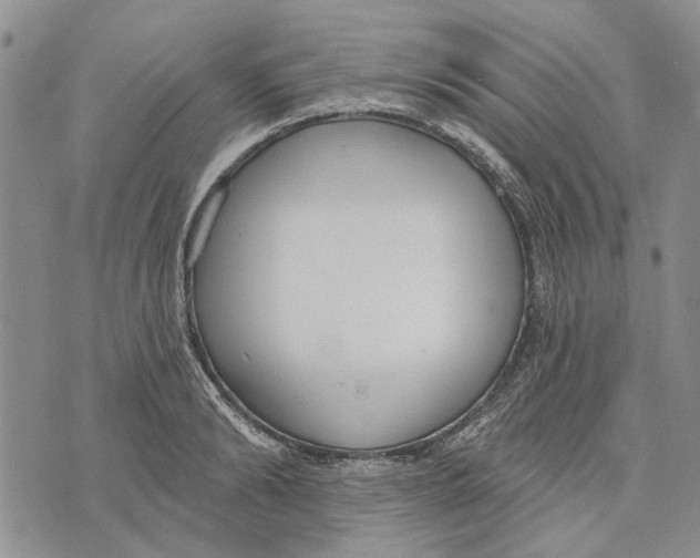 X0000073710894200608311752