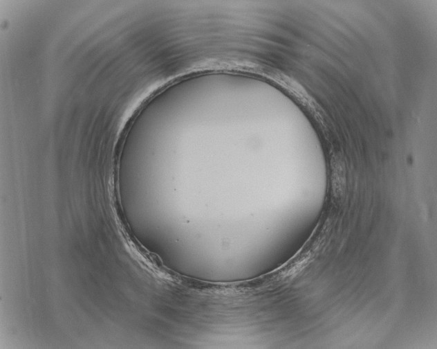 X0000073710896200608311751