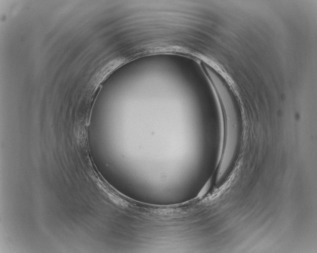 X0000073710897200608311751