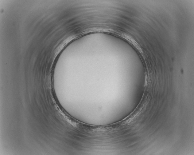 X0000073710898200608311751