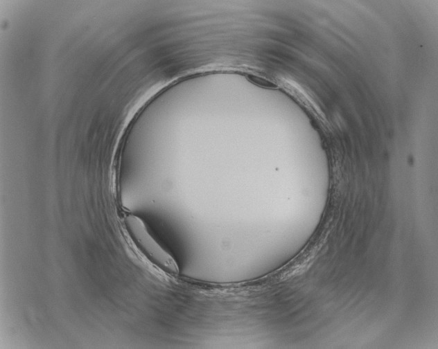 X0000073710900200608311751