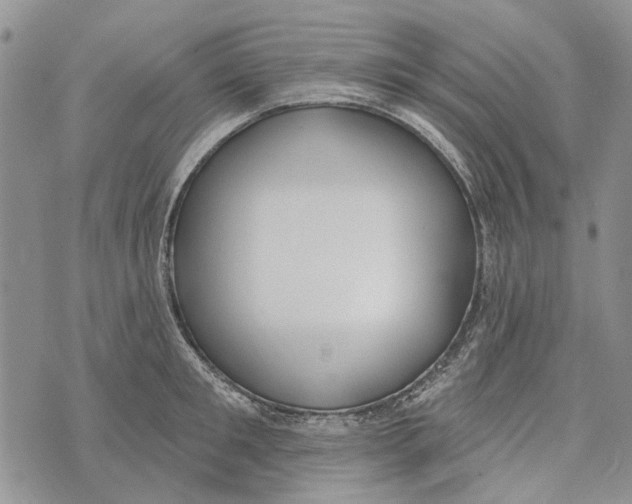 X0000073710901200608311751