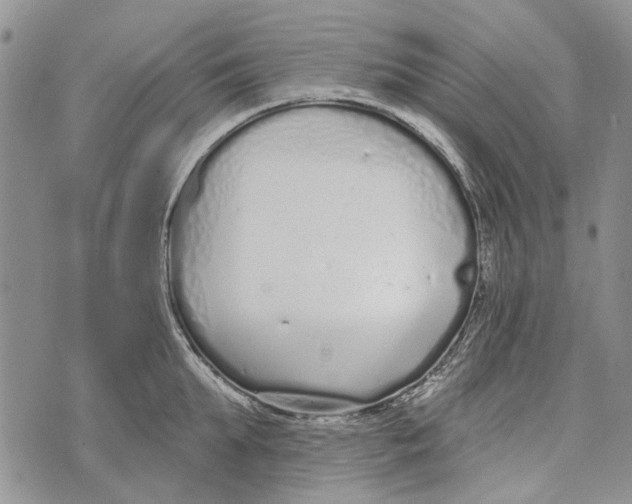 X0000073710903200608311751