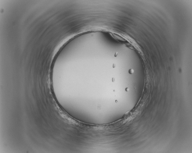 X0000073710904200608311751