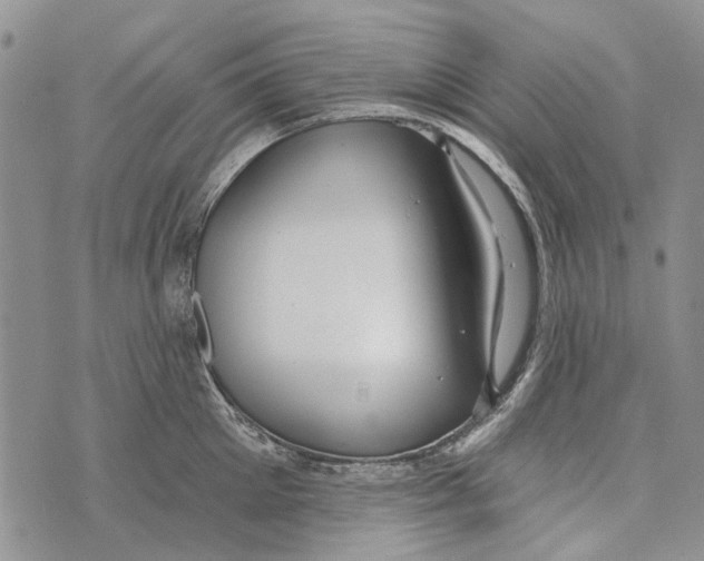 X0000073710905200608311751