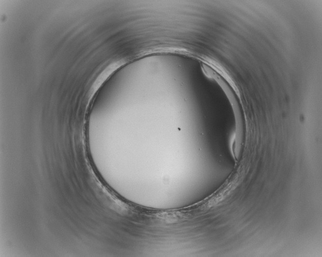 X0000073710906200608311751