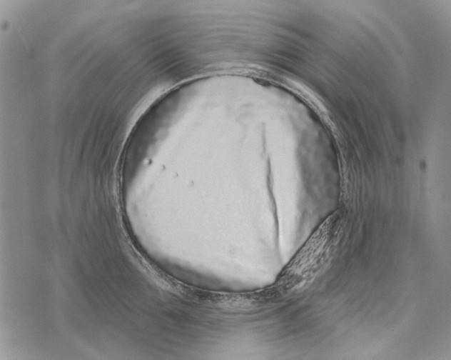 X0000073710907200608311751