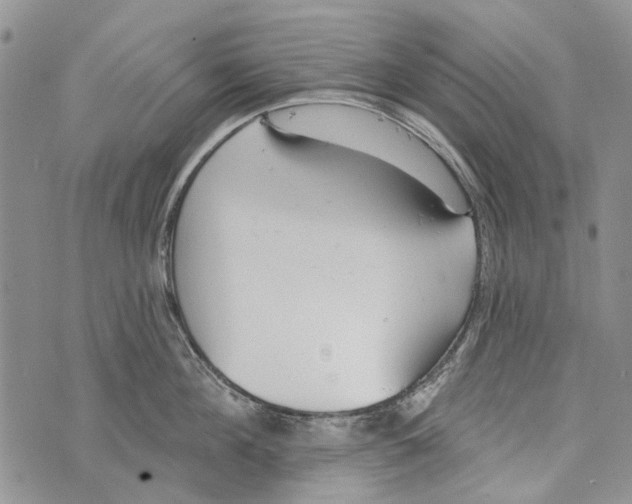 X0000073710908200608311751