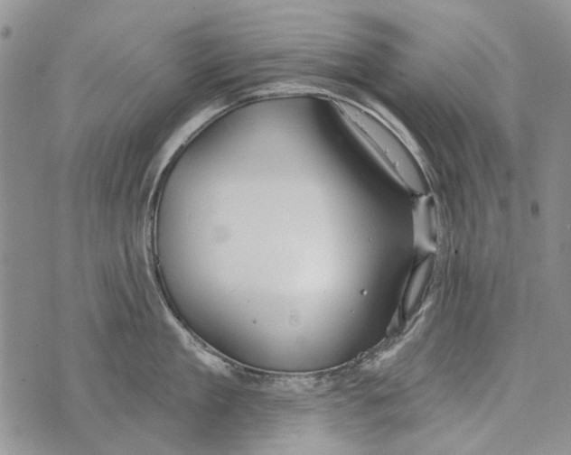 X0000073710909200608311751